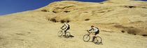 Panorama Print - Slickrock Wanderweg, Moab, Utah, USA von Panoramic Images