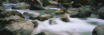 Olympic National Park, Washington State, USA by Panoramic Images