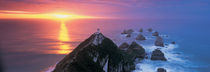  Sunset, Nugget Point Lighthouse, South Island, New Zealand von Panoramic Images
