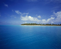 Island in the ocean, Rangiroa, Tuamotu Archipelago, French Polynesia by Panoramic Images