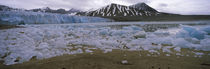 Ice floes in the sea with a glacier in the background, Norway by Panoramic Images