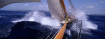 Yacht Race, Caribbean by Panoramic Images