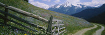 Wooden fence in a field, Tirol, Austria von Panoramic Images