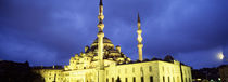  Yeni Mosque, Istanbul, Turkey von Panoramic Images