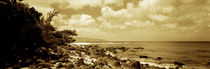 Rocks on the beach, Leftovers Beach Park, North Shore, Oahu, Hawaii, USA von Panoramic Images