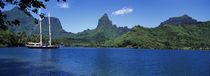 Sailboats Sailing In The Ocean, Opunohu Bay, Moorea, French Polynesia by Panoramic Images