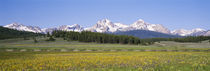 Sawtooth National Recreation Area, Stanley, Idaho, USA by Panoramic Images