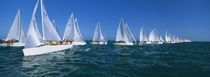 Sailboat racing in the ocean, Key West, Florida, USA von Panoramic Images