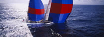 High angle view of a yacht in the sea, Caribbean by Panoramic Images