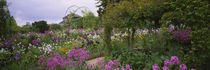 Flowers In A Garden, Foundation Claude Monet, Giverny, France by Panoramic Images