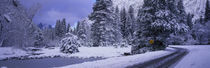 Panorama Print - Winterliche Straße, Yosemite Park, Kalifornien, USA von Panoramic Images