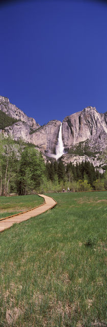  Yosemite National Park, California, USA von Panoramic Images