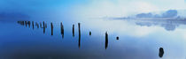 Loch Shiel, Scotland, United Kingdom by Panoramic Images