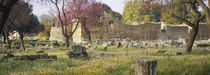 Ruins of a building, Ancient Olympia, Peloponnese, Greece by Panoramic Images