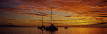 Sailboats in the sea, Tahiti, French Polynesia by Panoramic Images