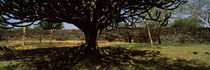 Lake Victoria, Great Rift Valley, Kenya by Panoramic Images