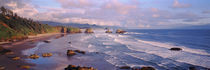 Seascape Cannon Beach OR USA von Panoramic Images