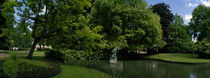 Trees in a park, Queen Astrid Park, Bruges, West Flanders, Belgium von Panoramic Images
