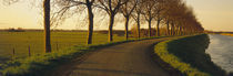 Winding Road, Trees, Oudendijk, Netherlands von Panoramic Images