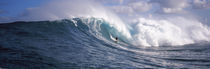 Surfer in the sea, Maui, Hawaii, USA von Panoramic Images