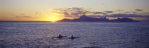 Sea at sunset, Moorea, Tahiti, Society Islands, French Polynesia by Panoramic Images