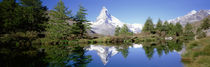 Reflection of trees and mountain in a lake, Matterhorn, Switzerland von Panoramic Images