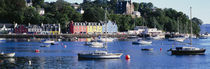 Boats docked at a harbor, Tobermory, Isle of Mull, Scotland by Panoramic Images