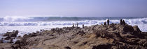 Waves in the sea, Carmel, Monterey County, California, USA von Panoramic Images