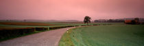 Switzerland, country road von Panoramic Images