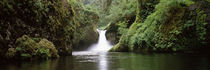 Eagle Creek, Hood River County, Oregon, USA by Panoramic Images