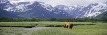 Katmai National Park, Alaska, USA by Panoramic Images