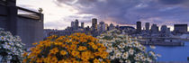 Montreal, Quebec, Canada 2010 by Panoramic Images