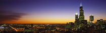 Night Chicago IL USA by Panoramic Images