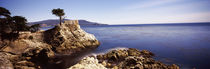 17 mile Drive, Carmel, California, USA by Panoramic Images