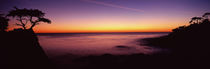 Pebble Beach, Carmel, Monterey County, California, USA by Panoramic Images