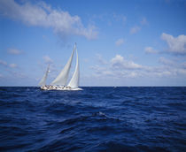 Sailboat in the sea, Bahamas by Panoramic Images