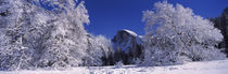  Yosemite National Park, Mariposa County, California, USA von Panoramic Images