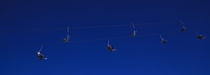 Low angle view of ski lifts, Stuben, Austria by Panoramic Images