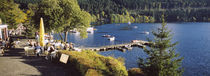 Titisee-Neustadt, Baden-Wurttemberg, Germany by Panoramic Images