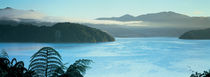 Kenepuru, Marlborough Sound, New Zealand by Panoramic Images