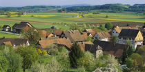 High angle view of houses in a village, Unterstammheim, Thurgau, Switzerland by Panoramic Images