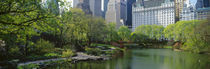 Panorama Print - Central Park New York City, New York State, USA von Panoramic Images