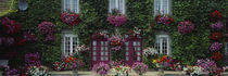 Flowers Breton Home Brittany France von Panoramic Images