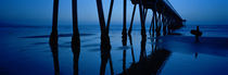 Silhouette of a pier, Hermosa Beach Pier, Hermosa Beach, California, USA von Panoramic Images