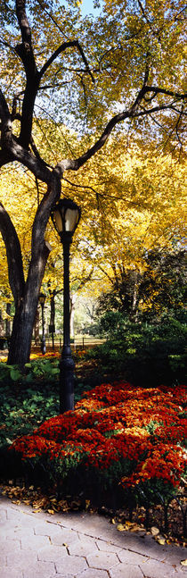 Lamppost in a park, Central Park, Manhattan, New York City, New York, USA von Panoramic Images