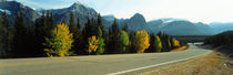 Road Alberta Canada by Panoramic Images