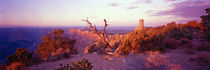  Desert Point, Grand Canyon National Park, Arizona, USA von Panoramic Images