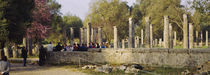 Ruins of a temple, Ancient Olympia, Peloponnese, Greece von Panoramic Images