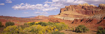 Orchards in front of sandstone cliffs, Capitol Reef National Park, Utah, USA von Panoramic Images