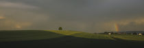 Storm clouds over a field, Canton Of Zurich, Switzerland von Panoramic Images